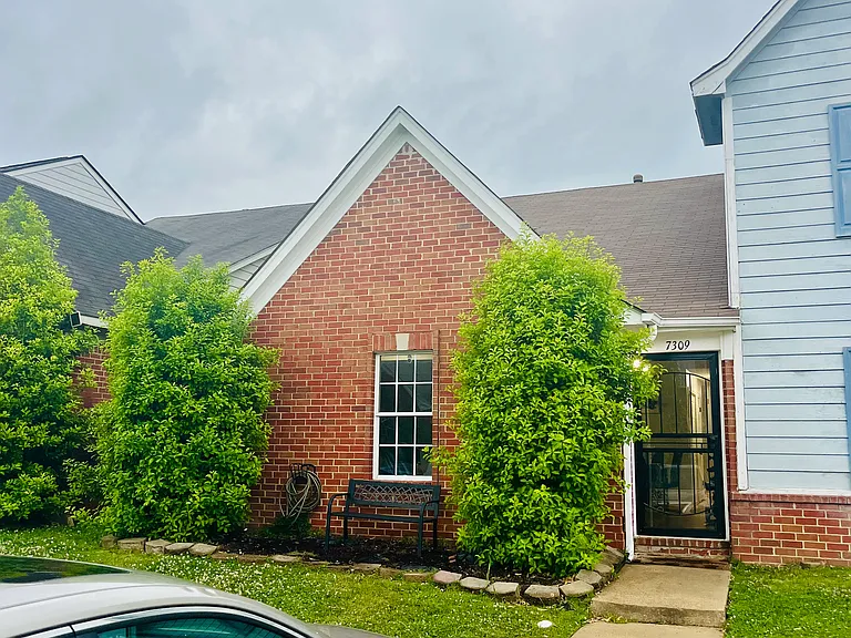 7309 Madelyn Cv — Photo 10