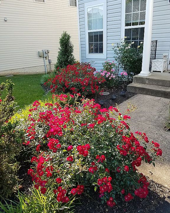 2nd image of 9253 Greenshire Dr