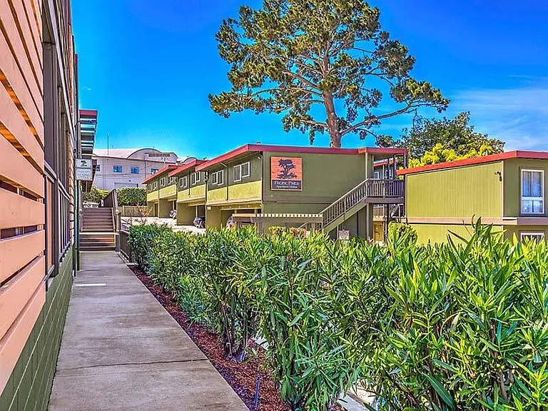 Pacific Pines — Photo 21