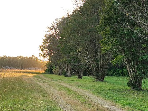 4th image of 421 Pea Ridge Rd