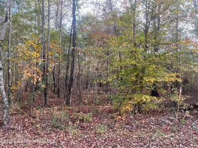 Sessions Rd, Dadeville, AL, 36853