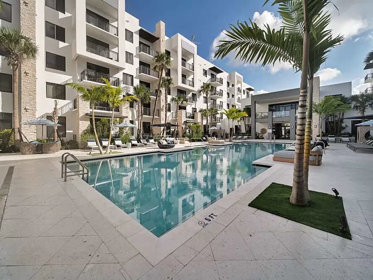 Palmera — Photo 14