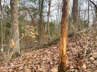 603 Lick Skillet Rd, Manchester, OH 45144