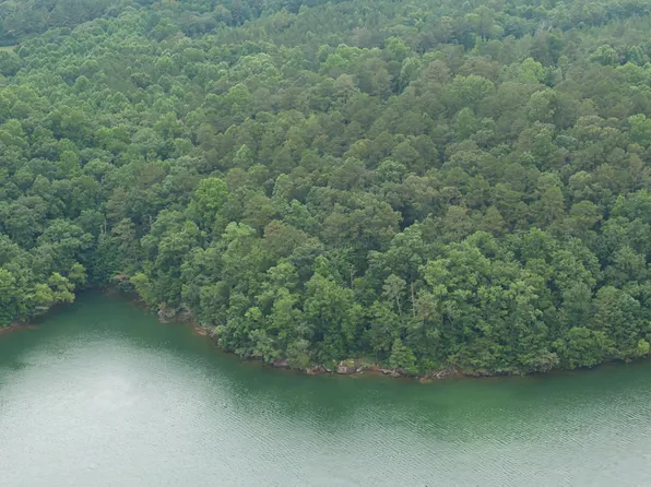 3 White Oak, Arley, AL 35541