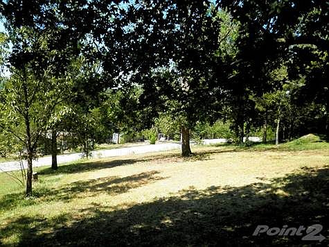 Back Yard Runs to Fairview Dr.