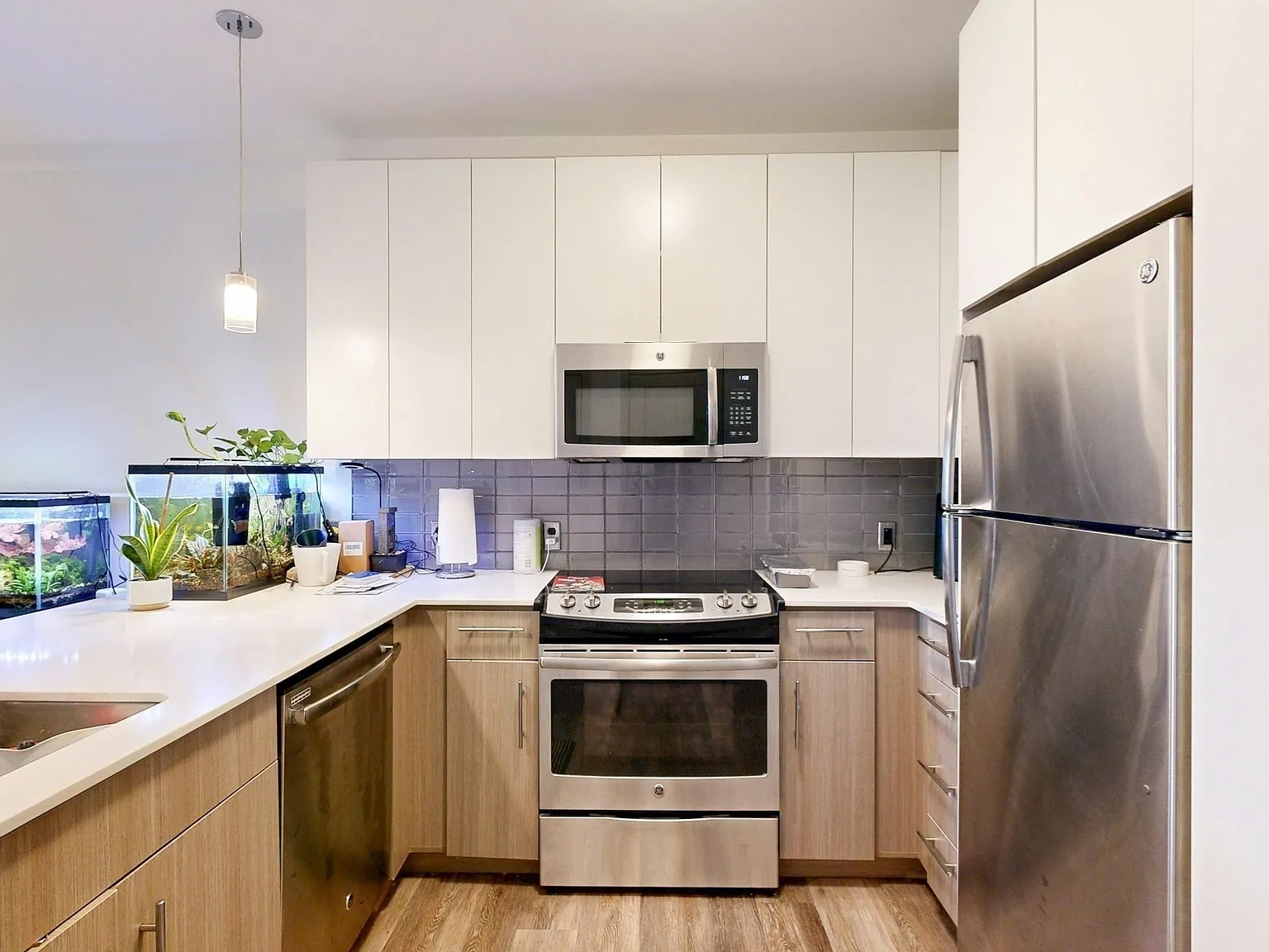 1 bed, 784 sqft, $2,900 — Photo 4