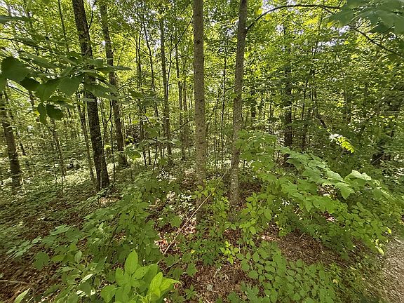 3rd image of 135 Oak View Rd
