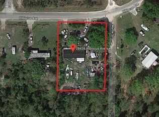 28438 Hibiscus Ave, Paisley, FL 32767