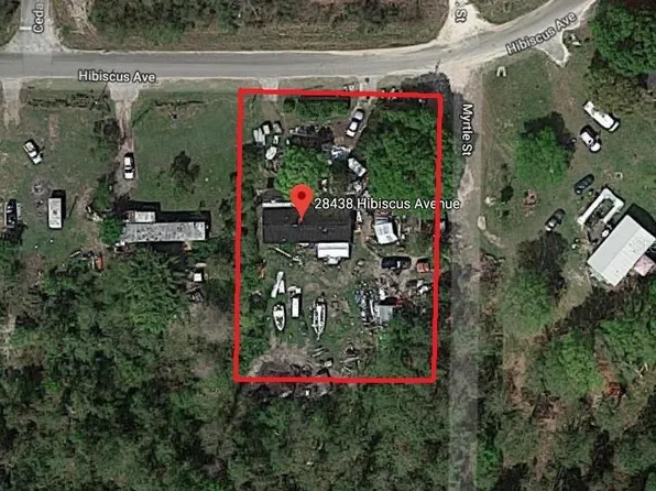 28438 Hibiscus Ave, Paisley, FL 32767