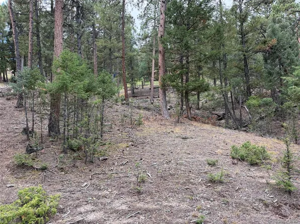 0000 Tobbogan Road, Pine, CO 80407