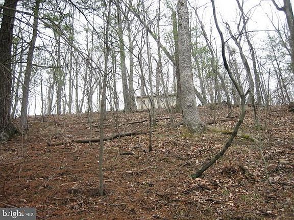 5th image of Pineway Rd