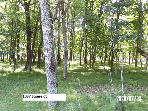 1037 Squire Ct, Nekoosa, WI 54457