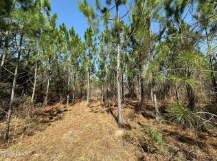 TRACT 6416 Douglas Ferry Rd N, Caryville, FL 32427