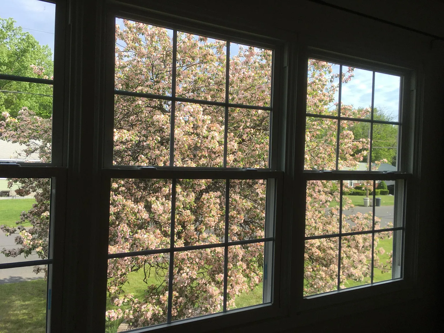 3 bed, 1586 sqft, $2,600 — Photo 3