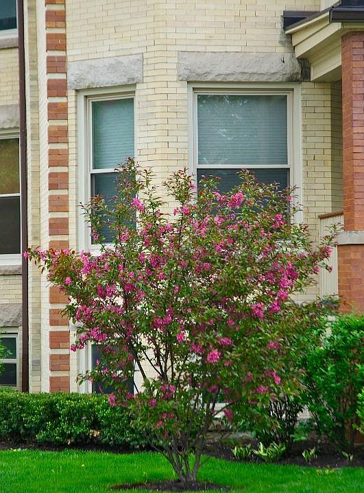 2nd image of 176 N Humphrey Ave APT 3
