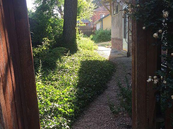 Side of house walkway, with climbing rose in summer