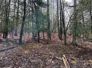 LOT 2756 Medina Ct, Ellijay, GA 30540