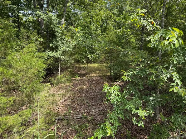 55 Cattail Court, Branson West, MO 65737