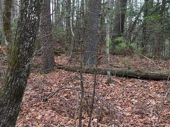 5th image of 0 Etowah Trl Lot 0