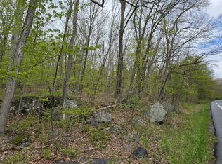 LOT 23.21 State Route 97, Narrowsburg, NY 12764