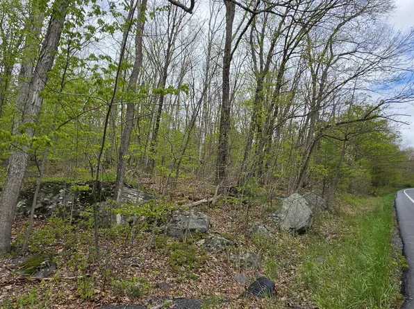 LOT 23.21 State Route 97, Narrowsburg, NY 12764