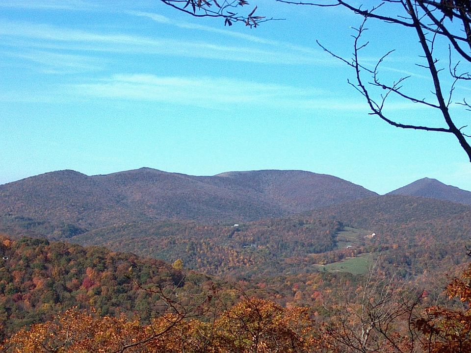 Looking into Virginia