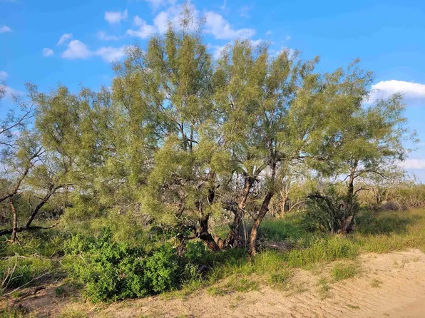 1000 Us Highway 359, Mirando City, TX 78369