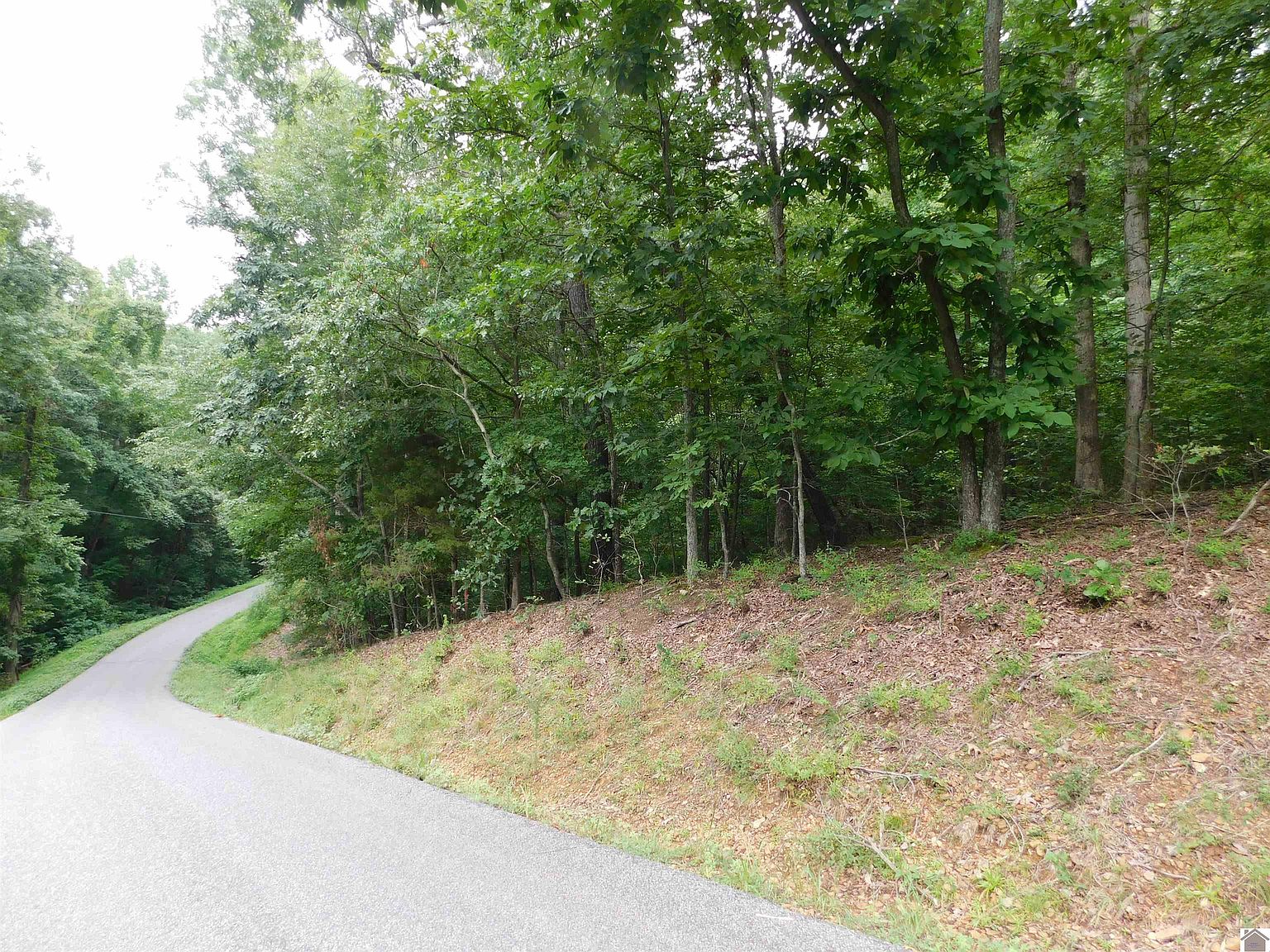 Champion Hills Lots 68 & 67, Kuttawa, KY 42055 MLS 123271 Zillow