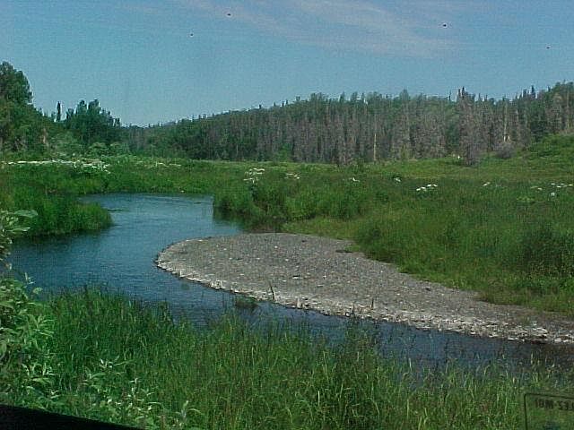 2nd image of L7A B1 Wild Salmon Way
