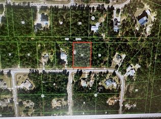 4115 W Pinto Loop, Beverly Hills, FL 34465
