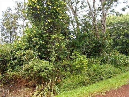 2nd image of Gardenia Dr Lot 26