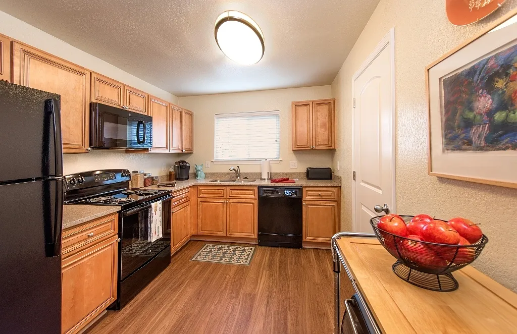 Haven Apartments — Photo 3