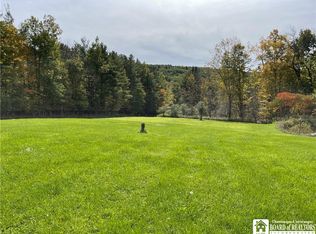 3447 Morgan Rd, Scio, NY 14880