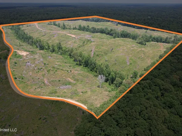 Cambell Rd, Lexington, MS 39095