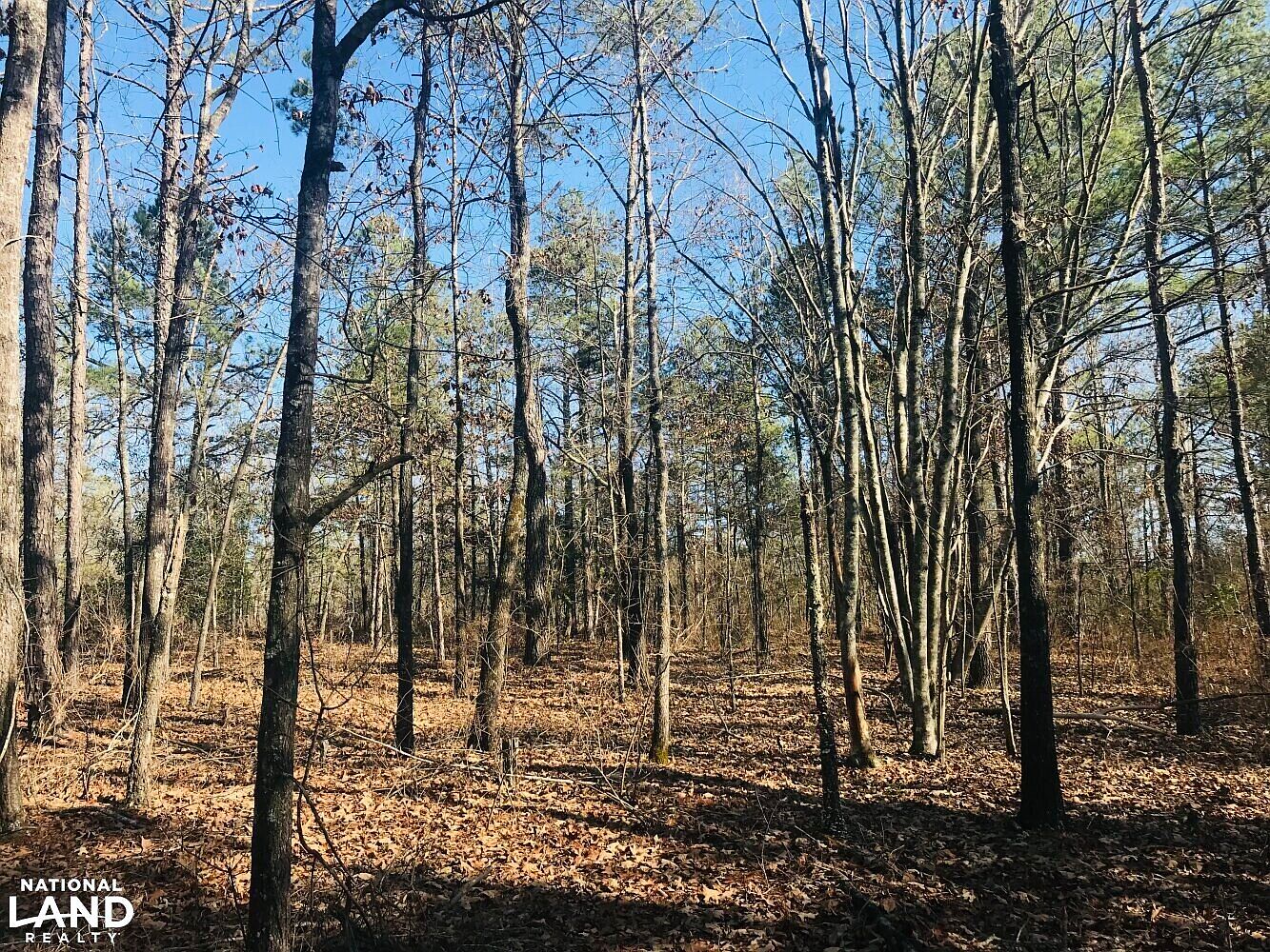 0 Henry Currington Rd, Mauk, GA 31058 Zillow