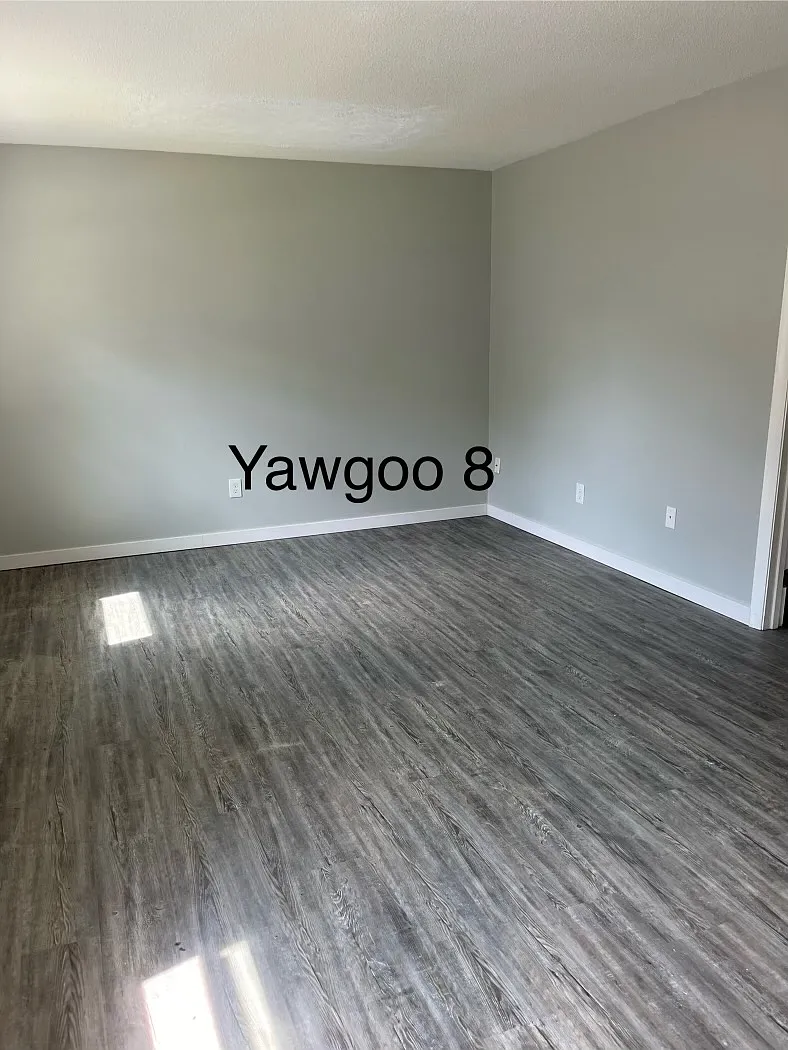 1 bed, $1,300 — Photo 2