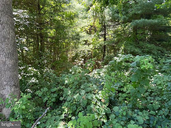5th image of 301 Northeast Rd