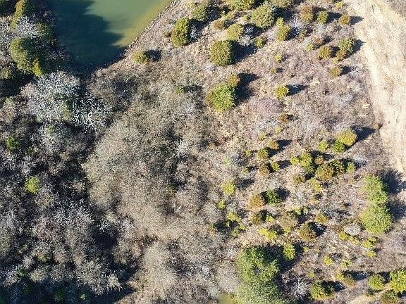 3rd image of 6 Treeline Dr