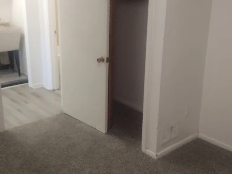 513 Miller Ave #A — Photo 4