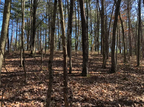 0 Burgess St, Clifton Forge, VA 24422