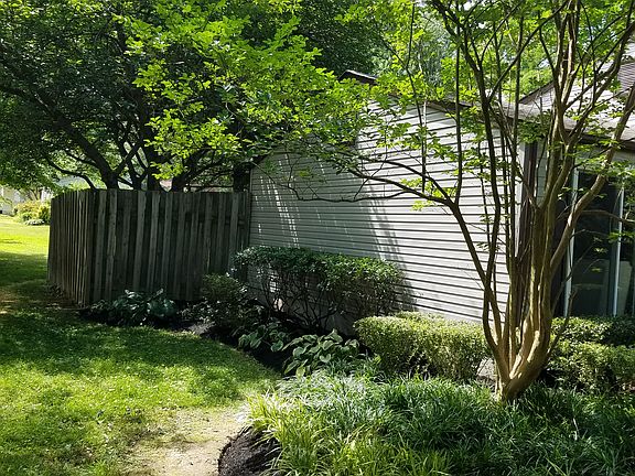 Left Side Yard
