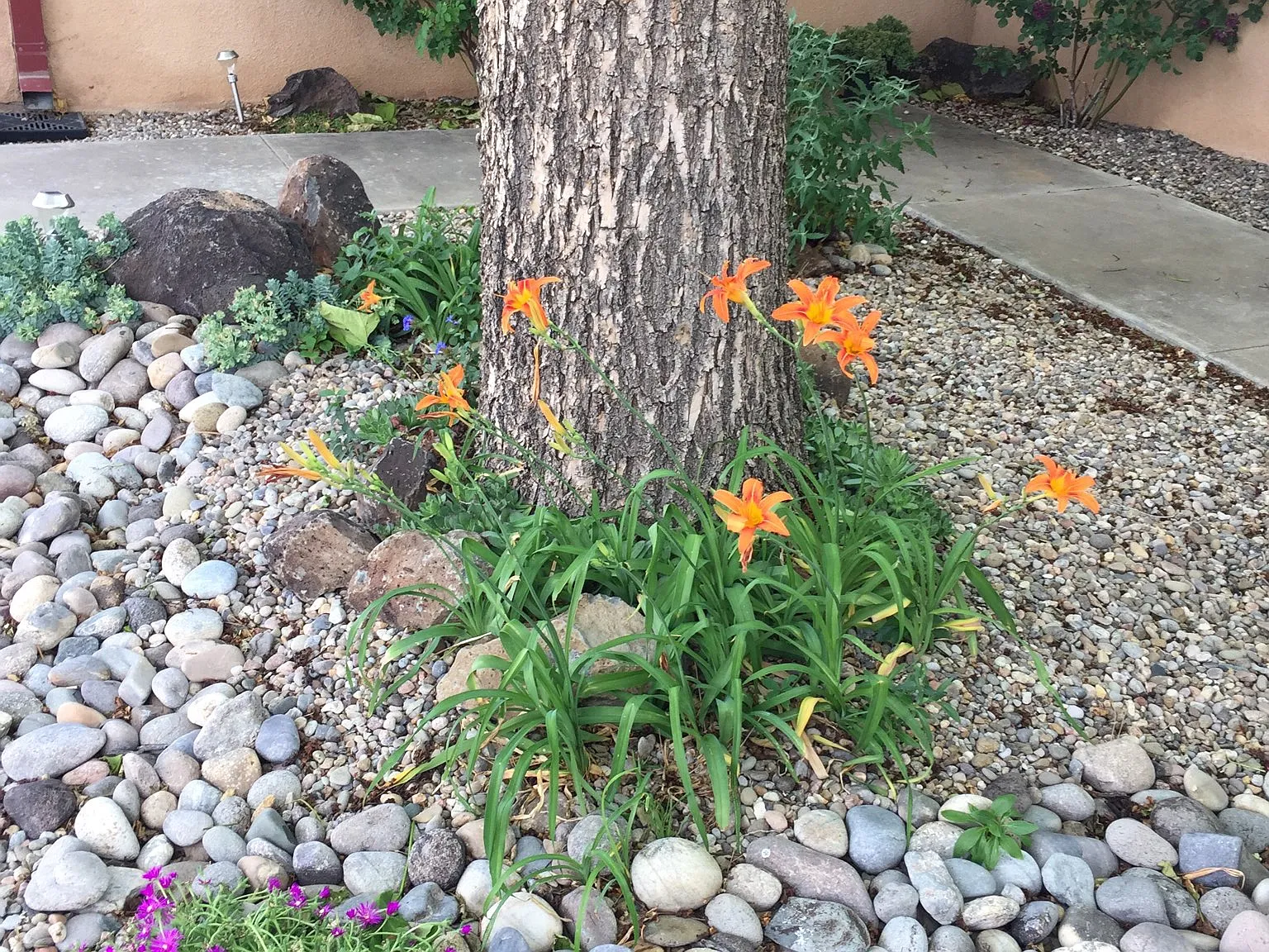 3 bed, 2200 sqft, $2,950 — Photo 3