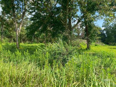 16827 Engel Ln, Foley, AL, 36535