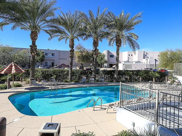 Pool & Pool Patio