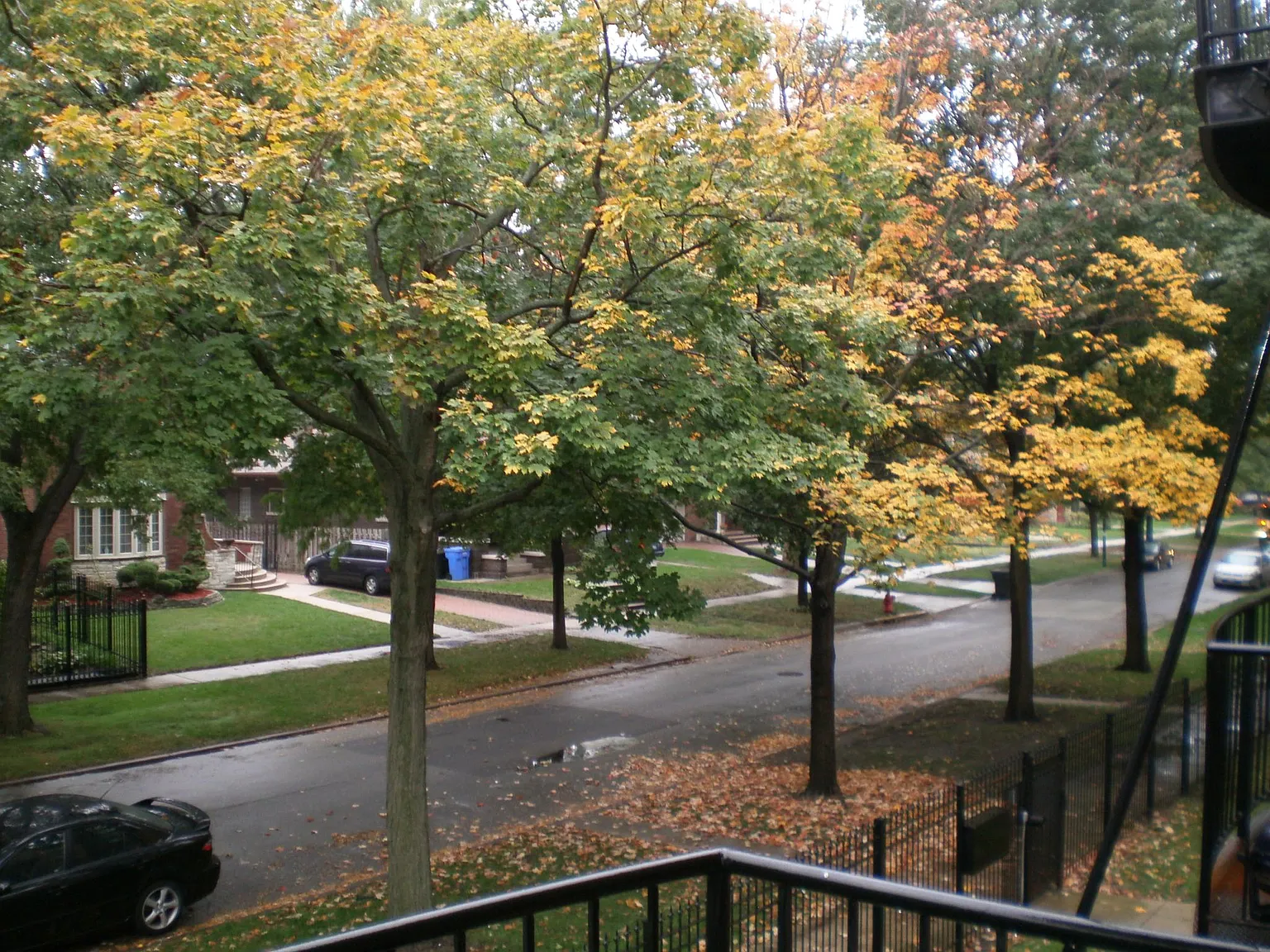 2 bed, 1100 sqft, $2,100 — Photo 3