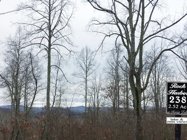 238 Tanzanite Trl, New Tazewell, TN 37825