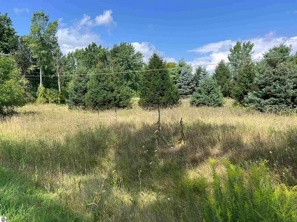 E River Rd, Mount Pleasant, MI 48858