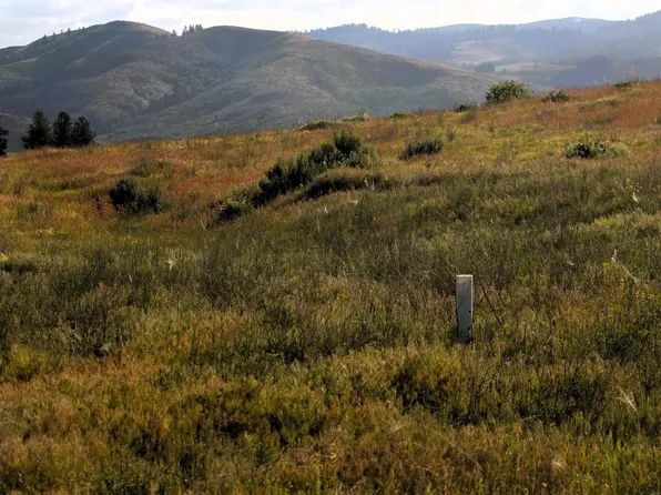 Tbd Trail Ln, Council, ID 83612