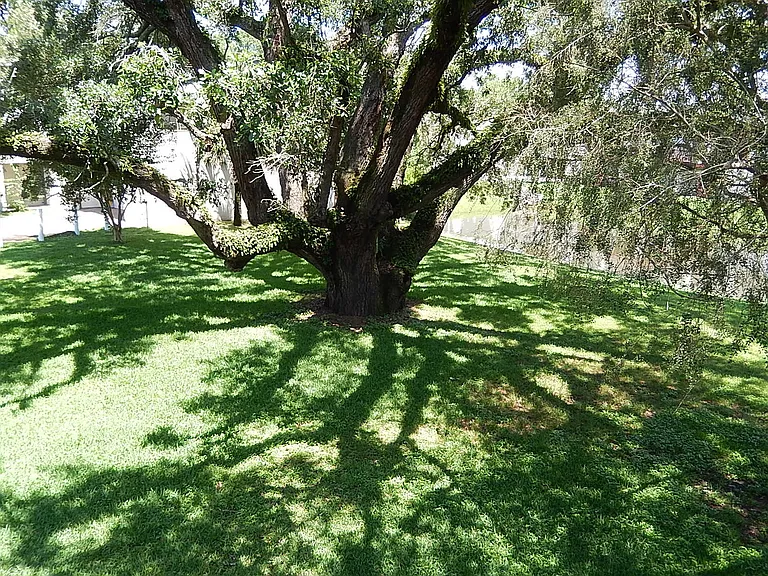 1317 Airport Dr #F13 — Photo 18
