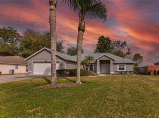 10217 Spring Moss Ave, Clermont, FL 34711